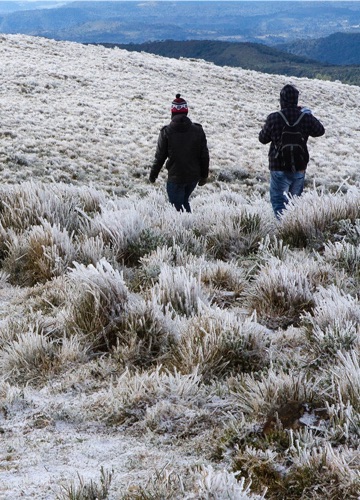snow